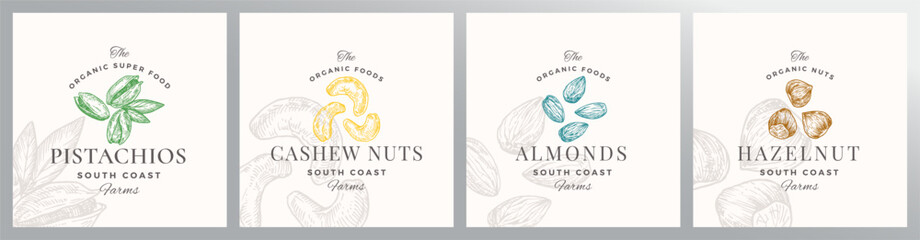 Wall Mural - nuts logo templates set. hand drawn almonds, pistachios, cashew and hazelnut sketches with retro typ