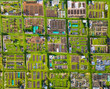 Aerial view of vegetable allotments forming geometric pattern in spring weather