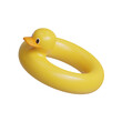 Duck float summer 3d icon