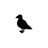 Fototapeta Młodzieżowe - Seagull or gull bird black silhouette monochrome vector illustration isolated.