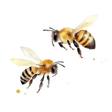 Watercolor Honey Bee. Illustration AI Generative.
