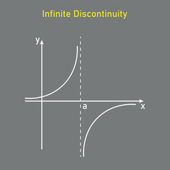 Poster - Types of discontinuity of a function. Infinite discontinuity. Limits and continuity. Vector illustration isolated on grey background.