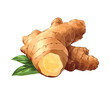 © Stockgiu - Fresh ginger root, a healthy cooking ingredient Generative AI