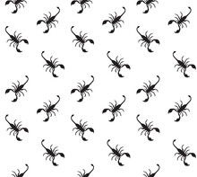 Vector Seamless Pattern Of Hand Drawn Scorpio Silhouette Isolated On White Background