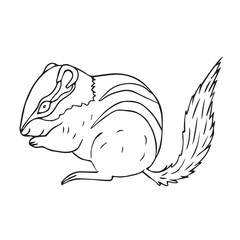 Wall Mural - Vector hand drawn doodle sketch chipmunk isolated on white background