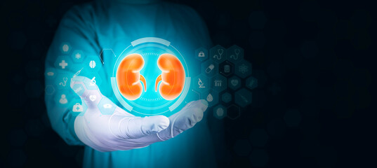 Nephrology, medical care for kidney problems. Kidneys, kidney pain, kidney cysts, kidney failure, cancer. Organ donor, Doctor with tablet on dark background. technology in medicine