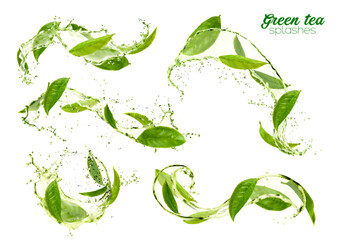 Wall Mural - Green tea leaves swirls and splashes. Herbal drink waves and water flows 3d vector set. Organic beverage elements for ads with realistic herbs, aqua jet and splatters. Fresh plant, natural aroma tea