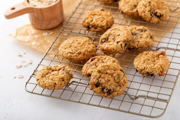 Wall Mural - Healthy breakfast cookies with oatmeal, pecans and cranberry