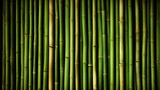 Fototapeta Dziecięca - green bamboo texture