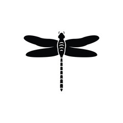 Wall Mural - dragonfly icon vector