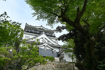 Poster - Japan sightseeing trip. 'Okazaki castle'. Okazaki city Aichi prefecture. Famous for being the birthplace of Tokugawa Ieyasu, the shogun who unified Japan.