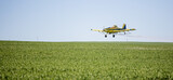 Fototapeta Sawanna - Close up image of crop duster airplane spraying grain crops on a field on a farm