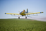 Fototapeta Sawanna - Close up image of crop duster airplane spraying grain crops on a field on a farm