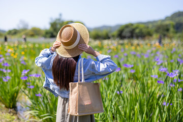 Wall Mural - Woman visit the flower field with iris tectorum flower