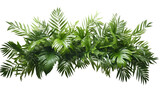 Tropical leaves foliage plant jungle bush floral, PNG