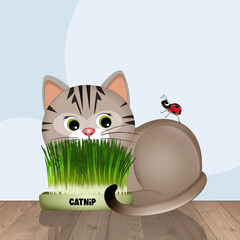 Wall Mural - funny illustration of with catnip plant