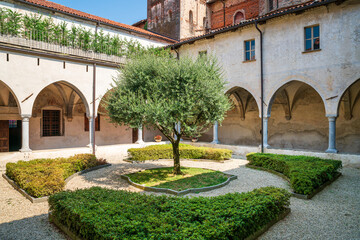 Wall Mural - View of Saluzzo, Cuneo, Piedmont, Italy