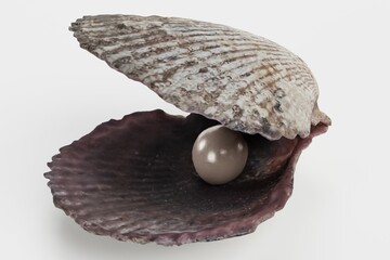 Wall Mural - Realistic 3D Render of Pearl in Shell