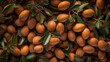Argan seeds and oil background. Argana nuts and branches created with generative ai tools Generative AI