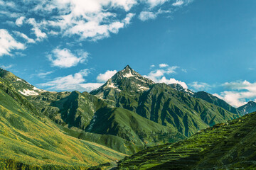 beautiful green mountain in summer