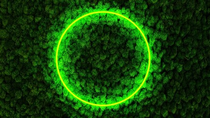 Wall Mural - Moss leaves plant wall and neon light template. 3d rendering of green circle neon light with tropical leaves. Flat lay of minimal nature style. Party, christmas, shopping, event, tropical background.