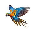 blue and yellow macaw on a transparent background (png). generative AI