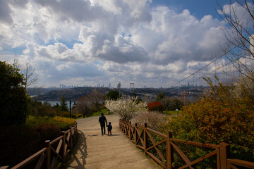 Judas trees (Turkish: Erguvan) in Istanbul. Beautiful spring view of the Istanbul Bosphorus from Otagtepe. Fatih Sultan Mehmet Bridge. Istanbul, Turkey.