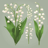 Fototapeta Kwiaty - Assortment of stylish lily of the valley vector icons.