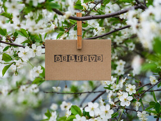 Wall Mural - A piece of cardboard with the word Believe on it hanging on a cherry tree branch with blossoms using a clothes pin.