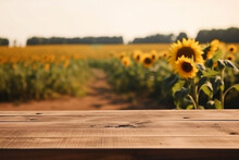 Empty Wooden Table In The Sunflower Field, Summertime With Blurred Background