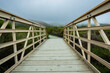 © Hanna Tor - Rustic boardwalk leading through the wilderness and native forest at Montana de Oro State Park, California