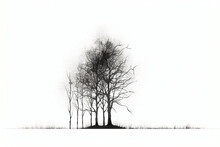 Illustrationg Of Birch Tree Without Leaves. AI Generative