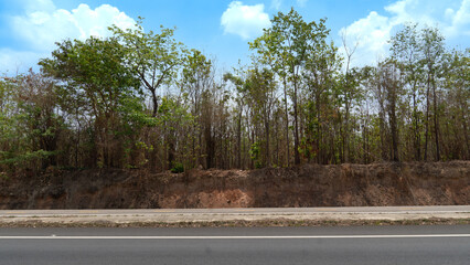 Horizontal view of asphalt road in Thailand. Background of parallel ground path and trees forest in summer. Under the blue sky.