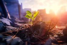 Small Green Plant Growing From The Rubble Of A Disaster, Concept Of Hope And Renewal, Generative AI