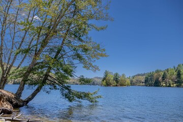 Wall Mural - lake glenville nc