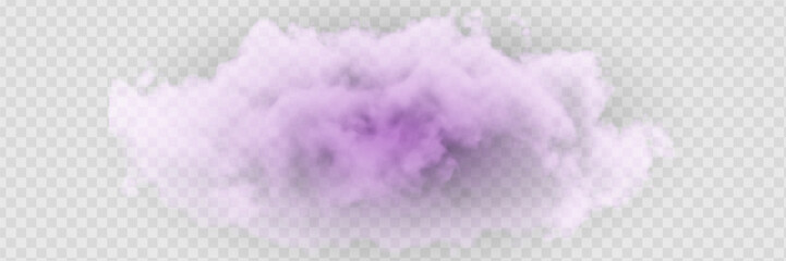 Transparent special effect stands out with fog or smoke. White cloud vector.