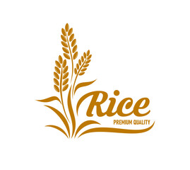 Wall Mural - Rice icon with cereal plant and grains, vector food and agriculture crop. Bakery or farm mill isolated symbol with gold silhouette of paddy or jasmine rice leaves, ears and seeds, flour or food label