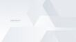 © Salman - white and gray abstract background modern design vector illustration