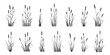 various reed silhouettes