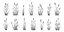Various Reed Silhouettes
