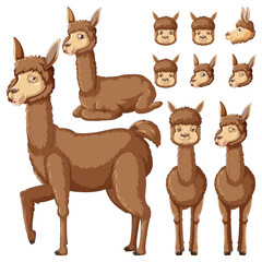 Wall Mural - Set of alpaca cartoon character with head and facial expression