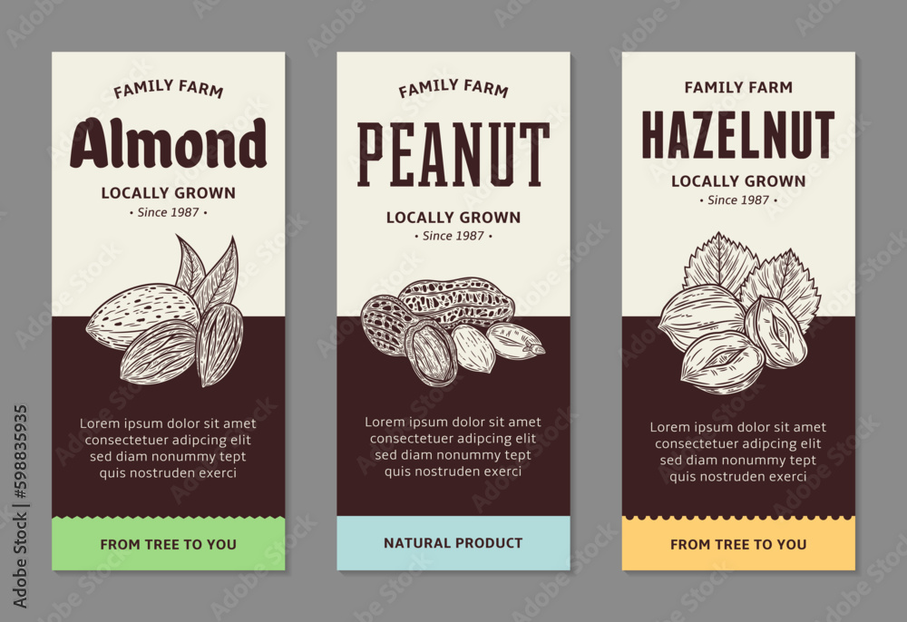 Groundnuts Label Design Set of vector nuts food label template, nuts packaging design Stock ...