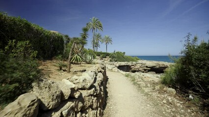 Wall Mural - Wind on the seashore in Spain in spring. Palm trees on the rocks near the house on a sunny day. Trail for active recreation along the coast.