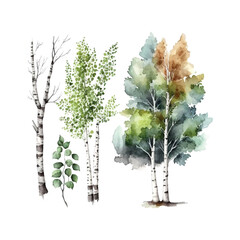 Wall Mural - Watercolor birch trees Russia tree Design element for wallpapers, web site background Vector illustration.