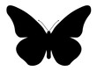 © Anastasia - butterfly isolated on white  butterflies silhouettes