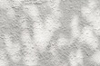 © Charlie's - Abstract white cement wall texture with silhouette shadow.natural pattern abstract stationary wall art overlay effect.design presentation shadow shape  for background.