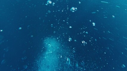 Fototapete - Underwater view of the bubbles ascending from the depth Generative AI