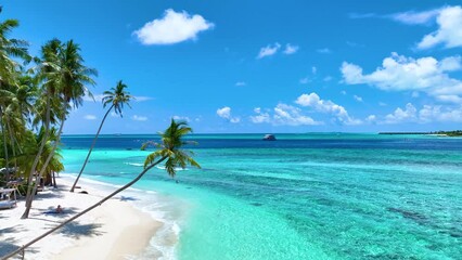 Wall Mural - The summer tropical on the sandy beach and turquoise Tropical beach with blue sky background