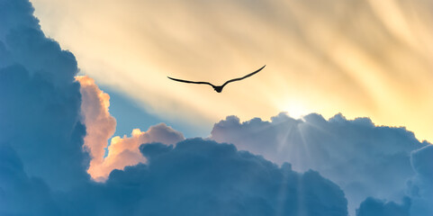 Wall Mural - Bird Flying Sunset Clouds Inspiration Hope Banner