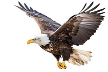 Bald Eagle Flying Isolated On White, Transparent Background, PNG, Generative Ai